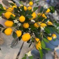 گل مصنوعی لیمو ترش
