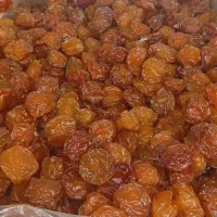 خشکبار