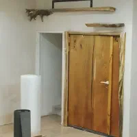 نیرو ام دی اف کار ترجیحا مجرد