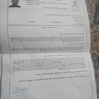 دنبال سیاوش سعیدی میانداب