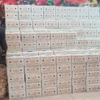 زردچوبه و زنجبیل درجه ۱  ارسال به تمام نقاط
