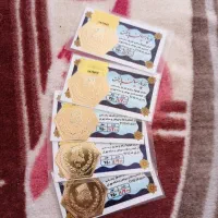 سکه پارسیان