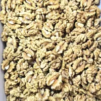 عرضه عمده مغز گردو خارجی