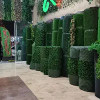 دکوراسیون ویلا باغ چمن فنس انواع درختچه گرین وال