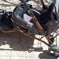 فروش دو عدد کالسکه دلیجان،