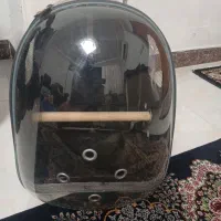 کیف حیوانات