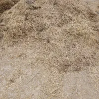 کاه تیره