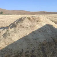 کاه گندم آماده داخل باردان