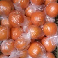 فروش تامسون درجه یک انباری