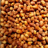 خرمای خوزستان.زاهدی شیرین و نرم وتازه