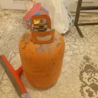 کپسول و پیک‌نیک