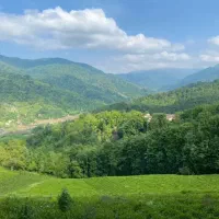 ۳۰۰متر بر ۱۳ مسکونی مناسب ویلا سازی