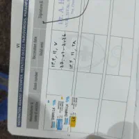 سگ پاکوتا