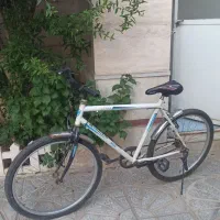 دوچرخه بزرگسال