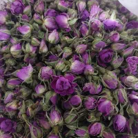 غنچه گل محمدی ب قیمت عمده