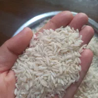 برنج دانه درشت علی کاظمی کیلویی۳۵۵ هزار تومان