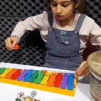 آموزش سنتور دف تار پیانو عود هنگ دارم بلز و فلوت