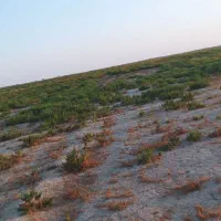 اجاره-زمین-کشاورزی-آبی