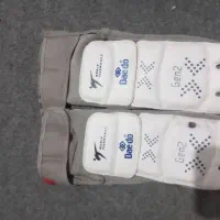 روپایی سنسوری تکواندو