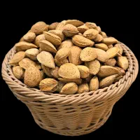 فروش بادام درختی با پوست کاغذی
