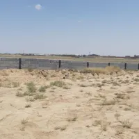 فروش چهار دیواری بامجوز پرورش قارچ درشهر زاویه|فروش دفتر صنعتی، کشاورزی، تجاری|تهران, آذری|دیوار