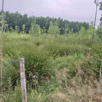فروش اقساطی زمین روستایی با مجوز ساخت