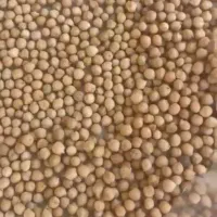 نخود تُناژ بالا