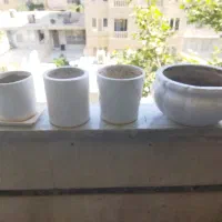 گلدان|گل و گیاه طبیعی|کرج, باغستان|دیوار