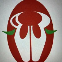 طراحی و ساخت لوگو طبق سلیقه شما با کمترین قیمت