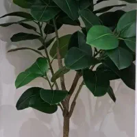 درختچه مصنوعی فیلتوس