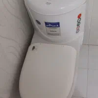 فروخته شد دسشویی فرهنگی