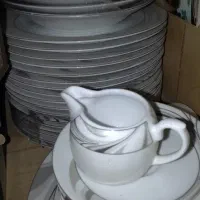 ظروف چینی نونوپلمپ شده مناسب برای جهیزیه و کادو