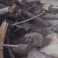 استخدام نیرو اره کار ماهر جهت برش چوب جهت زغال