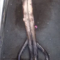 هدرز و واسطه  نونو و کنسول