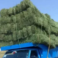پرس یونجه