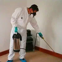 سمپاشی منازل واماکن و نخیلات