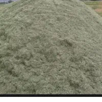 یونجه  خورد شده