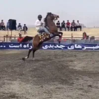 سیلمی