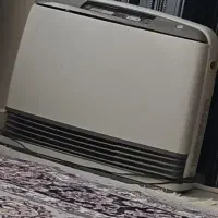 بخاری ژاپنی۳۰۰۰ فوری