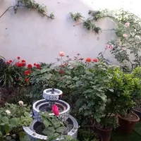 فروش زمین ۶۶ متری در مینا|فروش زمین و ملک کلنگی|تهران, مینا|دیوار