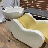 سرشور ثابت