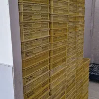 سبد بهداشتی