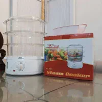 بخار پز فلر اصل مدل 200 در حد نو
