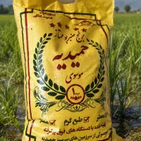 برنج عنبربو عطردار اصل جنوب  ( انحصاری )