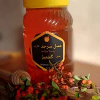 عسل گشنیز