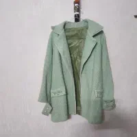 پالتو لمروز