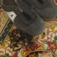 کفش شیما