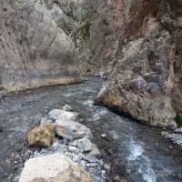 تور،طبیعت گردی، ودورهمی امشب
