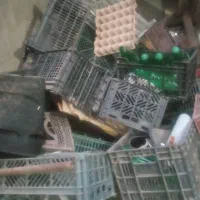 سله گوچگ بزرگ