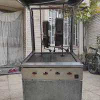 فر دنر 2 سیخه و فر سیب زمینی سرخ کرده